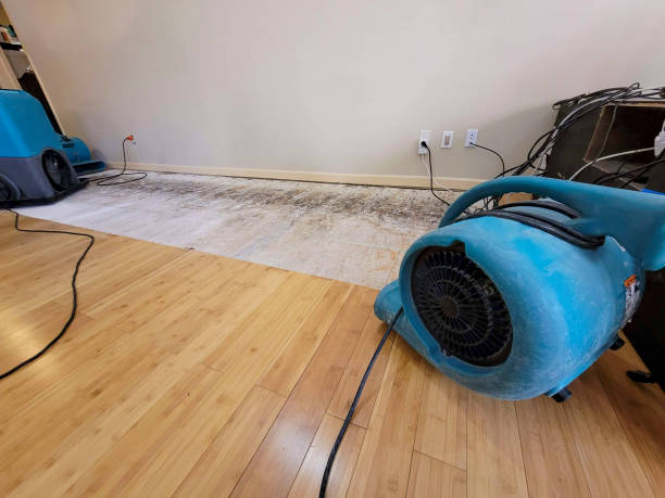 Professional Structural Drying technician working in Hampton, MN